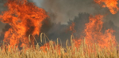 Upał. Ogień strawił 20 hektarów zboża!