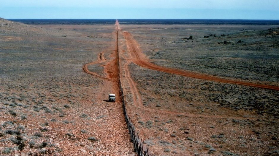 Najdłuższy płot na świecie, Dingo Fence