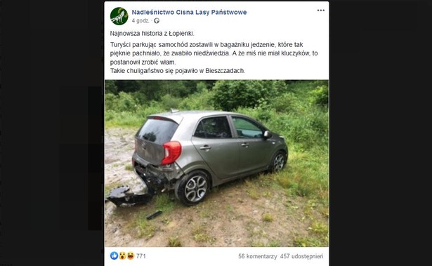 Kia zdemolowana przez niedźwiedzia