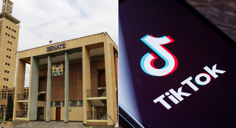 Kenyan Senators raise privacy concerns over Tik Tok, other social media apps