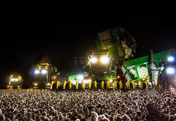 Kombajn zbierający bawełnę wygląda jak scena wielkiego festiwalu muzycznego