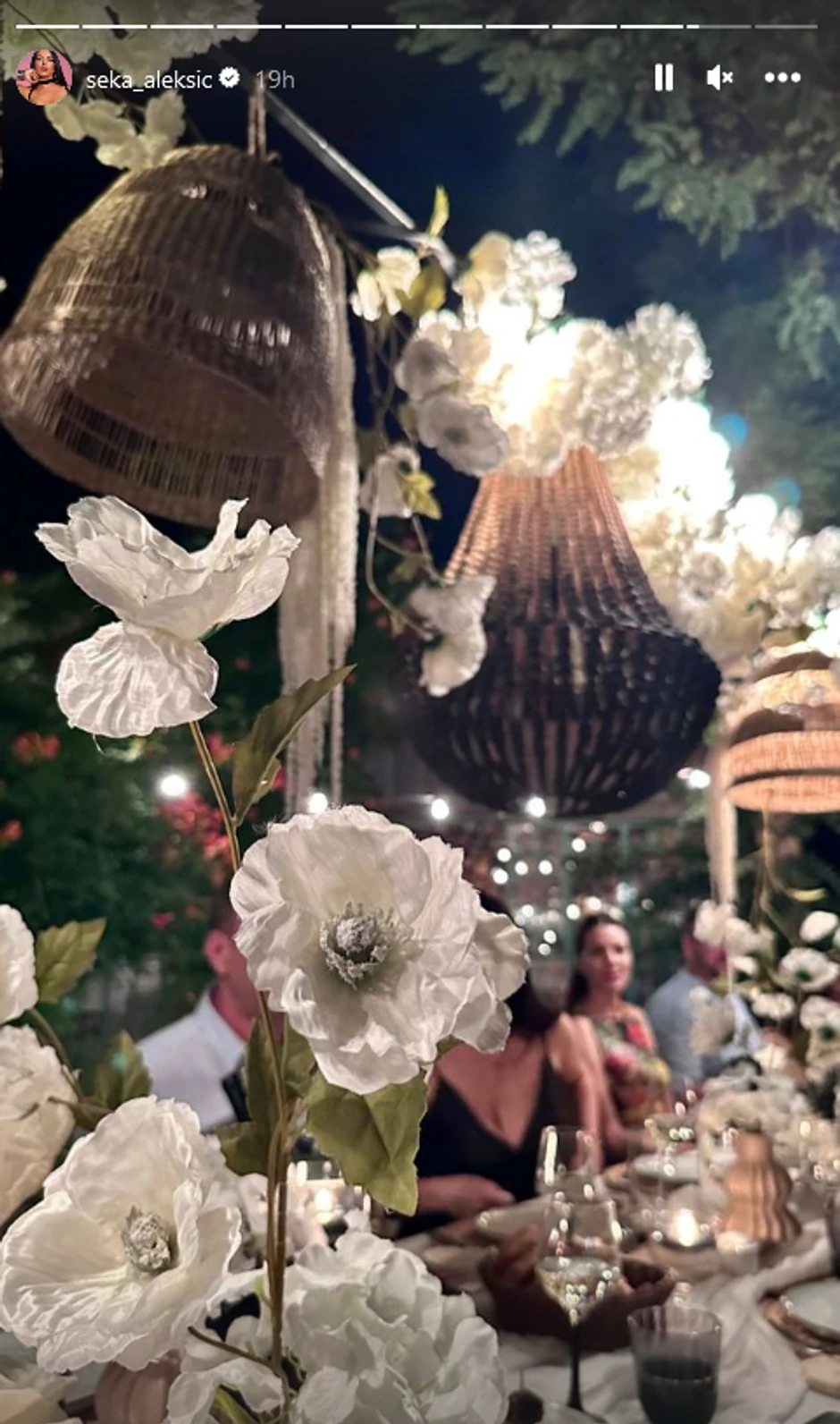 Seka Aleksić proslavila Veljkov 40. rođendan