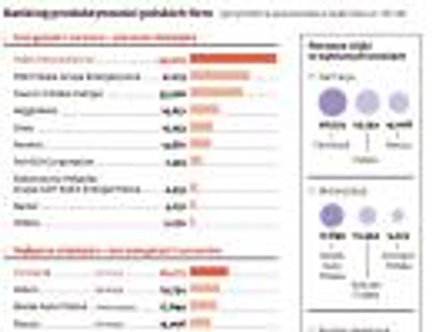 Ranking produktywności polskich firm