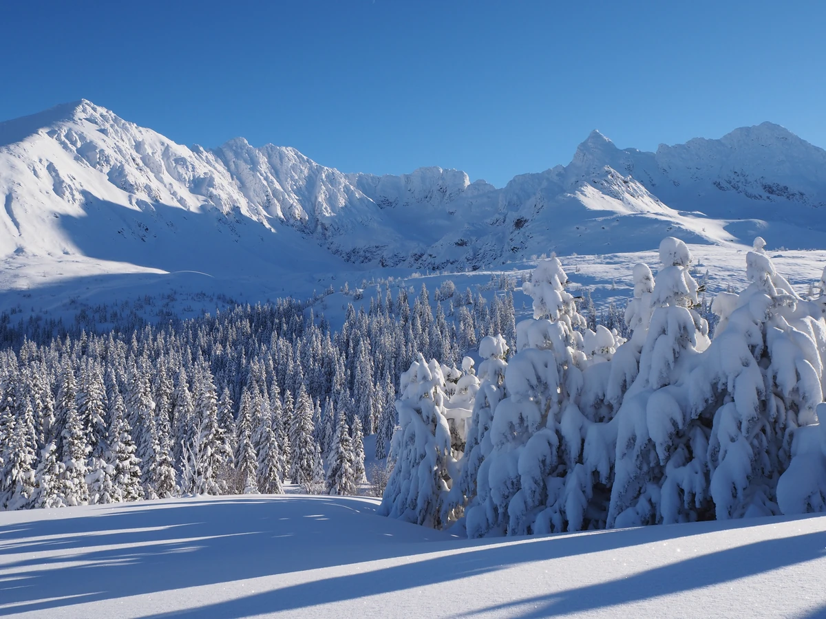Polska lodówką Europy? W Tatrach temperatura spadła poniżej -40°C