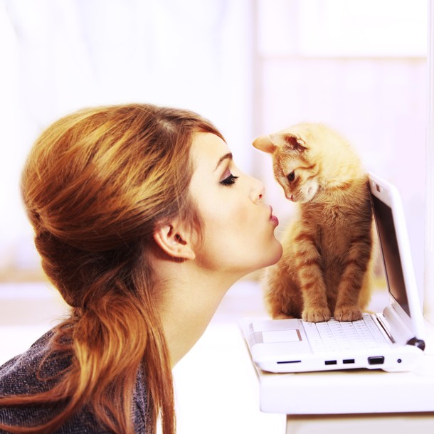 Kissing a cute kitten The perfect gift