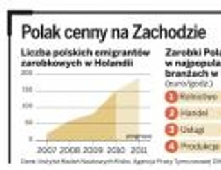 Holandia hitem emigracji - to tam najwięcej Polaków jedzie zarabiać