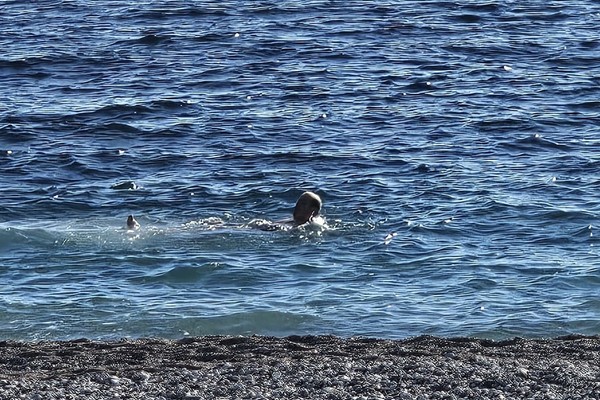 Navijači Partizana i navijači Crvene zvezde 