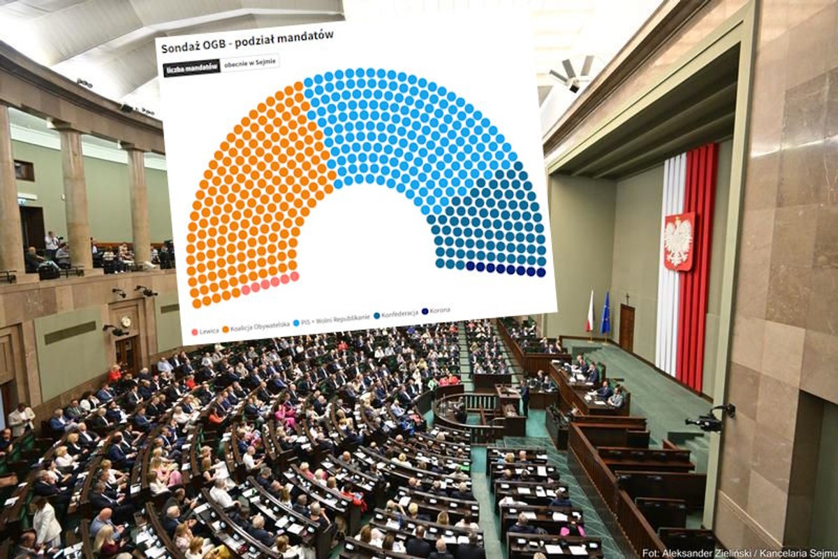 Nowy sondaż poparcia. Najbardziej zyskują PiS i KO