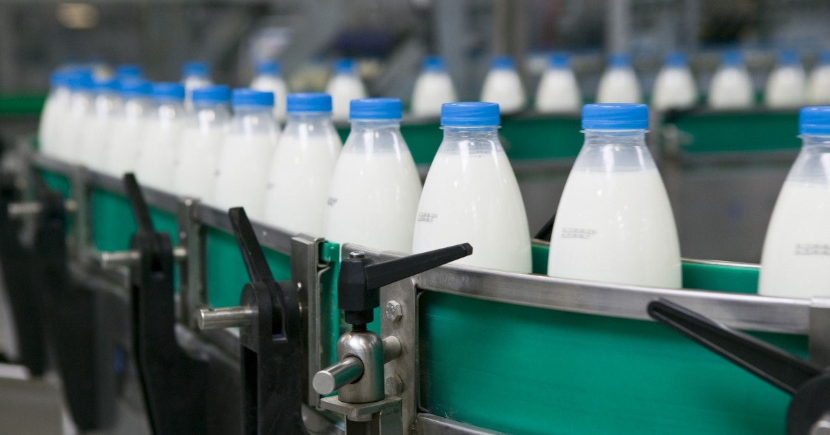 Nie tylko butelki i puszki? Rząd patrzy też w stronę... mleka