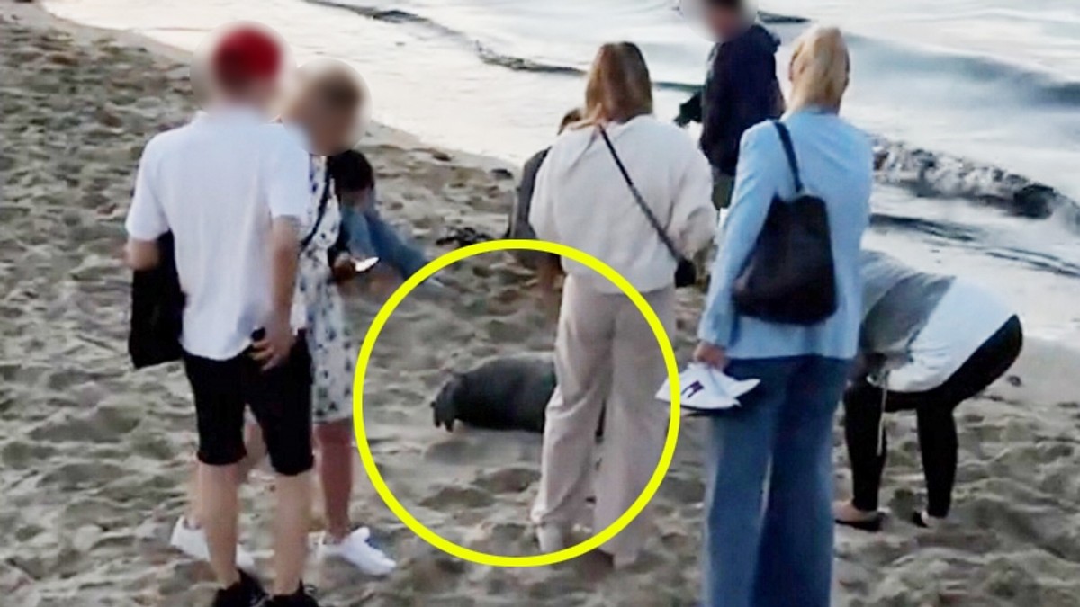 Osaczyli ją na plaży w Sopocie. Skandaliczne zachowanie turystów