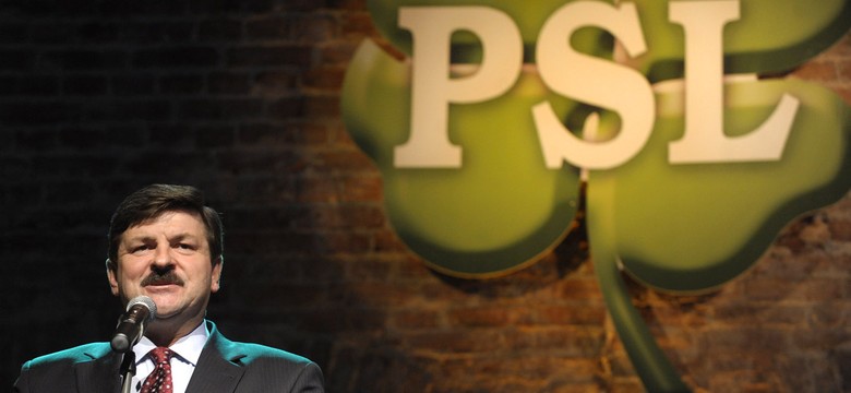 Sprawdź, co mają posłowie biznesmeni z PSL