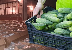 REKORDNA ZAPLENA DROGE U ISTORIJI SRPSKE POLICIJE