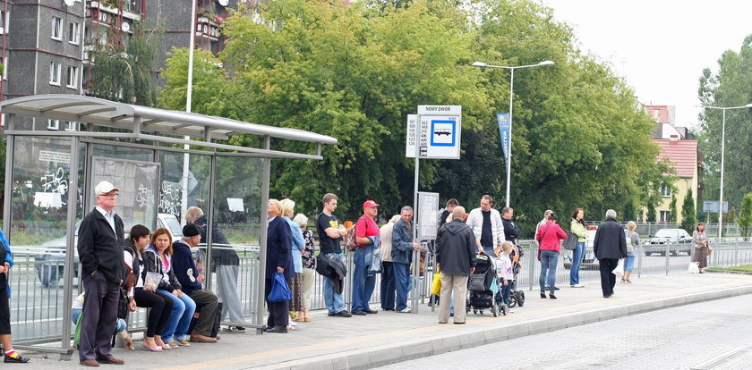 Przystanki nam wypięknieją