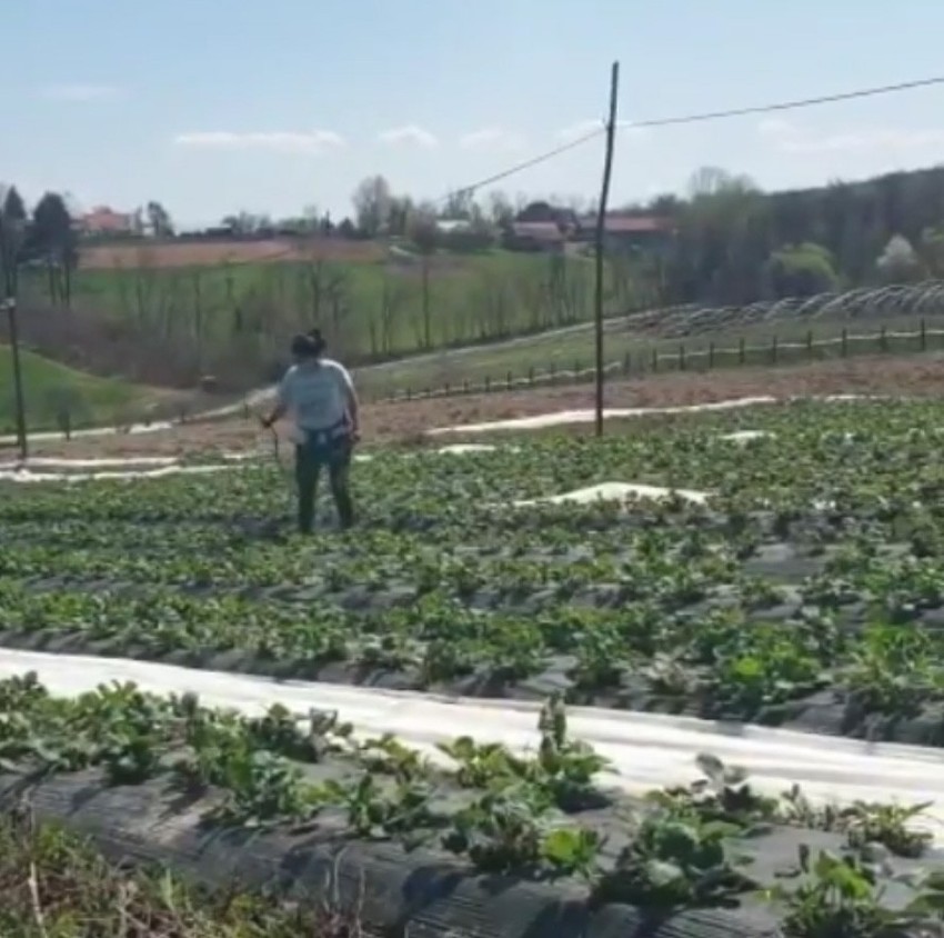 VIP SELJACI Marija Petronijević