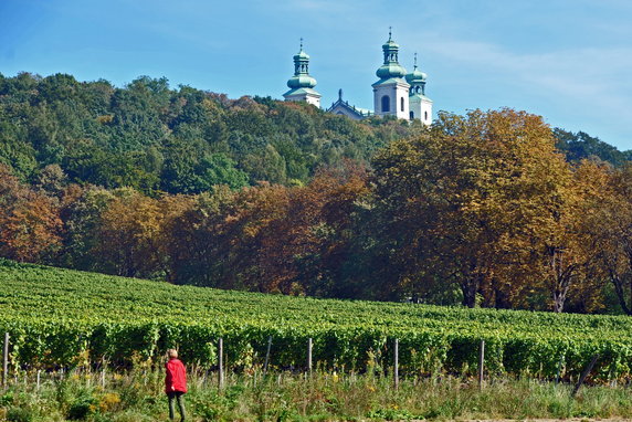 Winnica u stóp klasztoru kamedułów na Bielanach (Srebrna Góra), Kraków