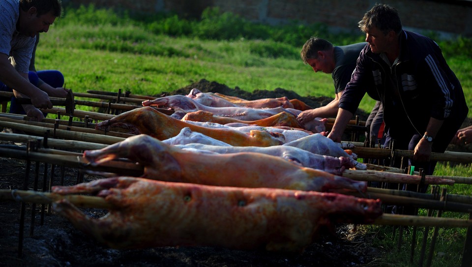 BULGARIA FEATURE PACKAGE TRADITION