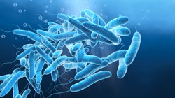 Legionella rozlewa się po Polsce. Nowe zakażenia