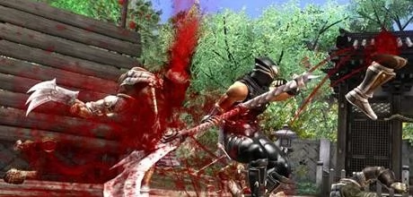 Screen z gry "Ninja Gaiden 2"