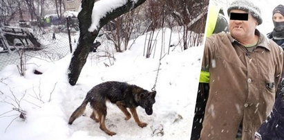 Przerażające piekło psów na Lubelszczyźnie, zdjęcia mrożą krew w żyłach. Czasu jest niewiele