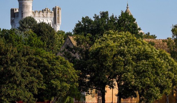 Vučić najavio veliku fabriku u Novom Bečeju:
