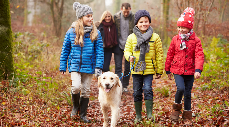 Szervezzünk családi kirándulást! / Fotó: shutterstock