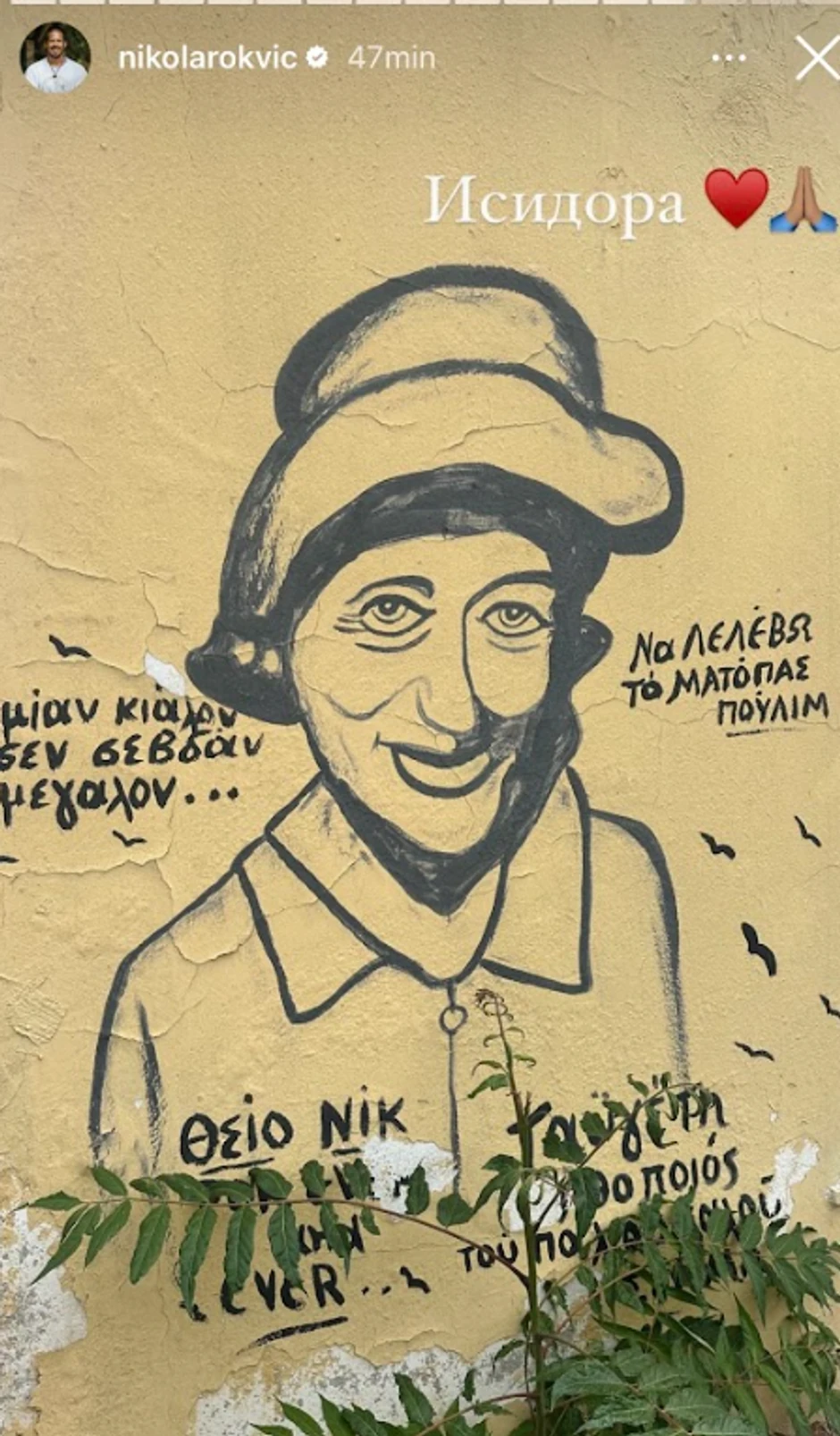 Nikola Rokvić -20. dan pešačenja