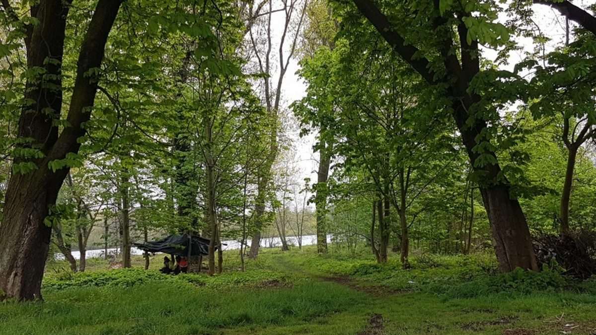 Teraz jest tam pełno gruzu i śmieci, ale wkrótce ma być miejsce dla okolicznych mieszkańców. Nowy park powstaje przy ulicy Światowida w Szczecinie. Otwarcie zaplanowane jest na czerwiec.