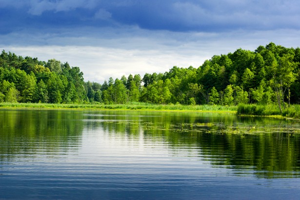 Mazury