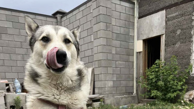 Z zalanego domu uratowali życie i... karmę dla psa. Oto rzeczywistość Ukraińców po wysadzeniu tamy na Dnieprze