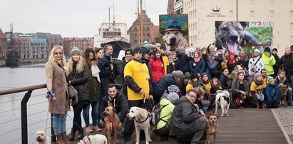 Psiaki ze schroniska przejdą ulicami Gdańska