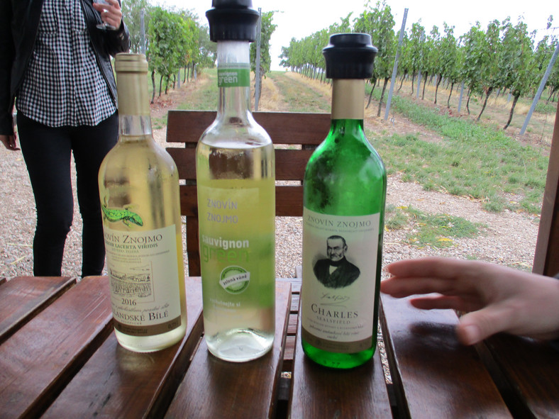Morawskie wina cieszą się uznaniem coraz większej liczby koneserów