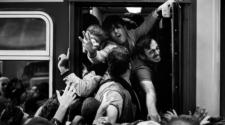 Egy felvétel Balogh Zoltán, az MTI/MTVA külsős fotóriportere Krízis a Keleti pályaudvaron című sorozatából, amely első díjat nyert a 34. Magyar Sajtófotó Pályázat menekültválság kategóriájában.