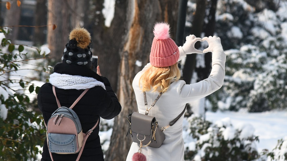 Sneg, zima, Novi Sad