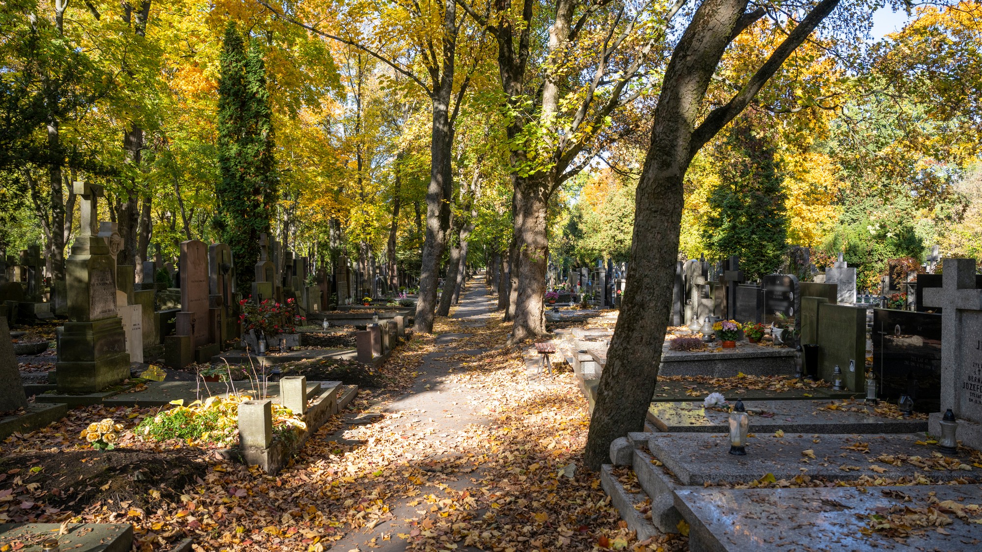 Počas Sviatku všetkých svätých bude veľmi teplé počasie. (ilustračné foto)