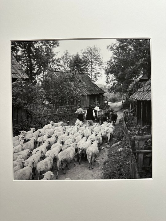 2 Władysław Werner - fotograf Tatr i Zakopanego - fragment wystawy 11