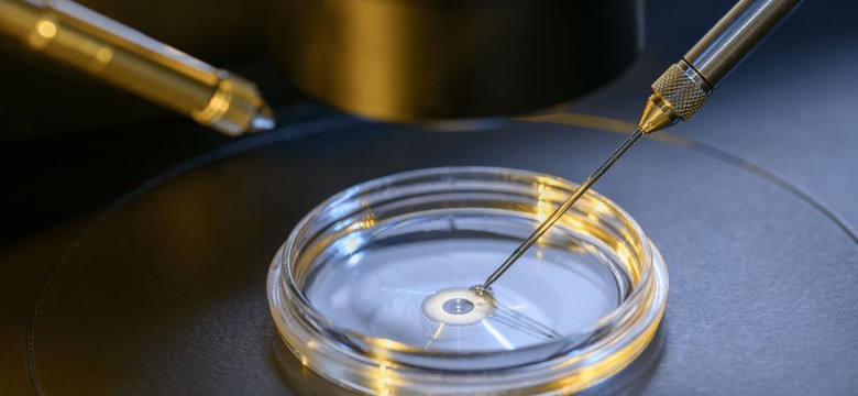 PiS blokuje lokalne sposoby na dofinansowanie in vitro
