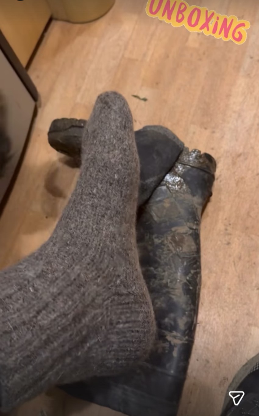  Aleksandar Radojičić, objava