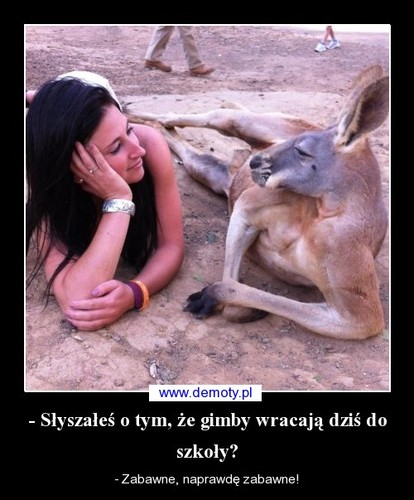 Powrót do szkoły szyderczym okiem internautów