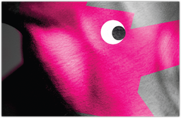 „Ryzyko”: Kontrowersyjny dokument o szefie WikiLeaks