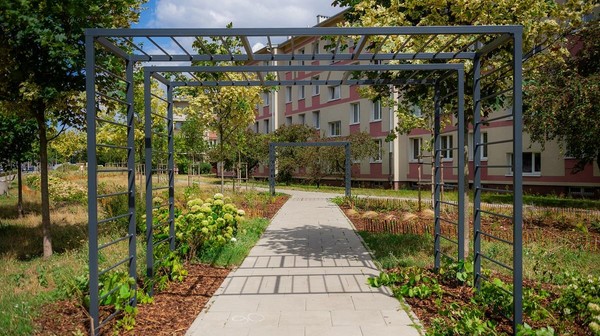 Parki linearne to ciekawy sposób na aranżację dużej zielonej przestrzeni w uporządkowaną i spójną całość.