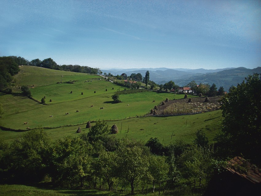 Selo Rebelj Medvednik