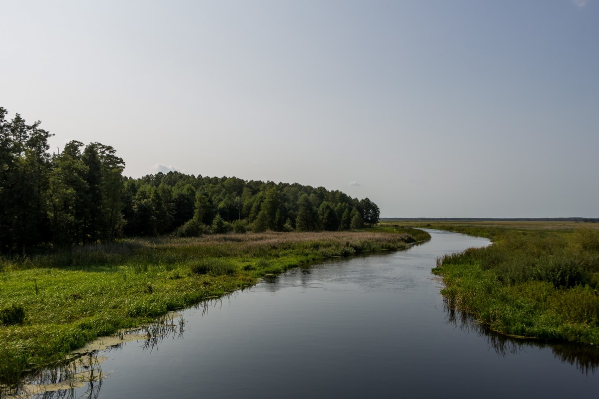 Rzeka Biebrza
