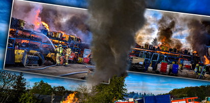 Ogromny pożar na Dolnym Śląsku! Na miejscu kilkadziesiąt zastępów straży pożarnej [ZDJĘCIA]