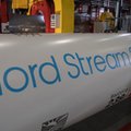 ABW zatrzymała szpiega, który donosił Rosji. Przekazywał informacje o Nord Stream 2
