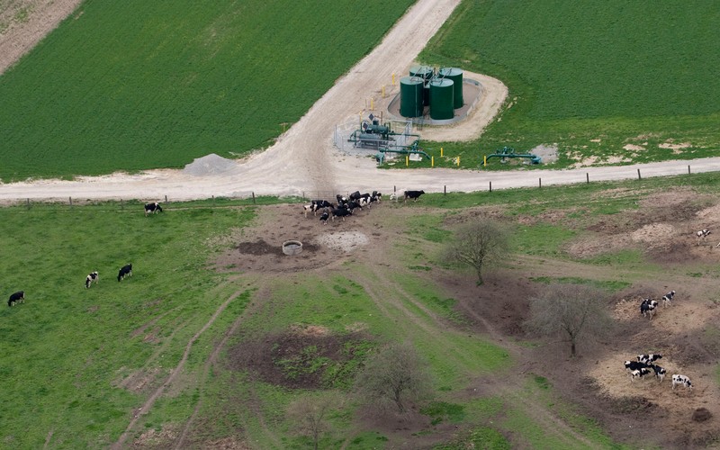 Wydobycie gazu z łupków. Stacja wydobywcza w okręgu Chartiers, hrabstwo Waszyngton w Pensylwanii, USA. Stado krów pasie się w okolicy zbiorników na skroplony gaz pochodzący z łupków. Urządzenia należą do firmy wydobywczej Patterson-UTI. foto: Andrew Harrer/Bloomberg