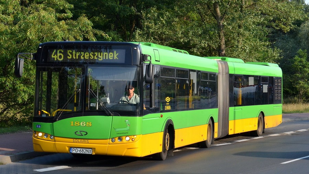 Z myślą o poznaniakach wypoczywających nad Jeziorem Strzeszyńskim MPK wydłuży kursy linii autobusowej nr 46 do pętli Strzeszynek. Od poniedziałku zmieni się również na stałe trasa autobusów nocnych linii 249, a na swoje stałe trasy powrócą pojazdy oznaczone numerem 54, 62 i 244.