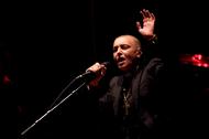 Sinead O'Connor Performs in Toronto