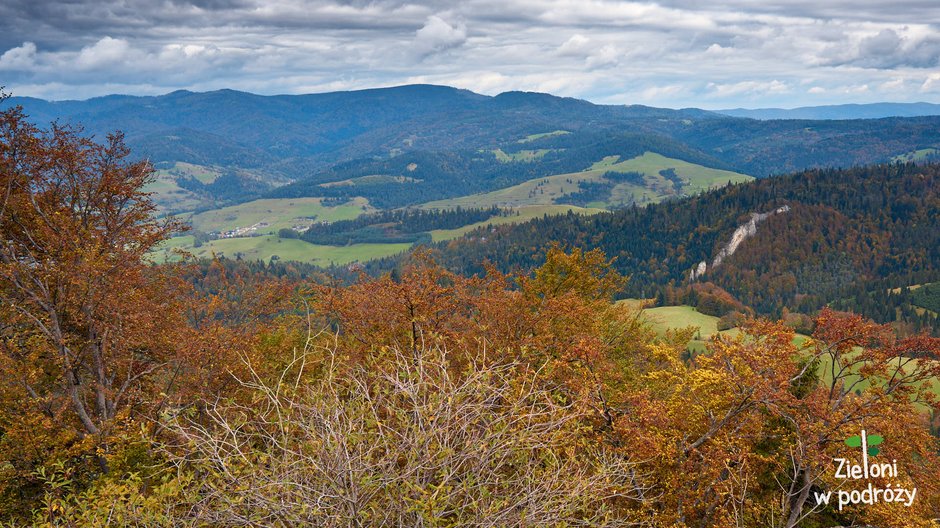 Widok w stronę Beskidu Sądeckiego