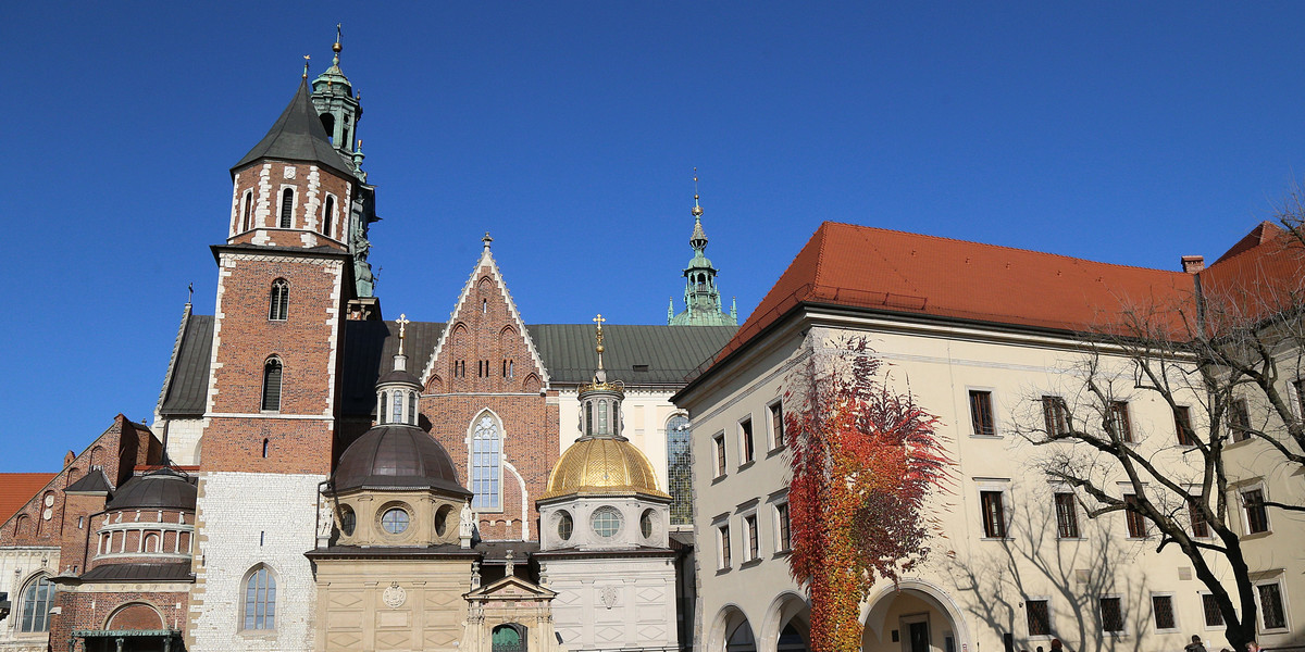 Darmowy listopad na Wawelu