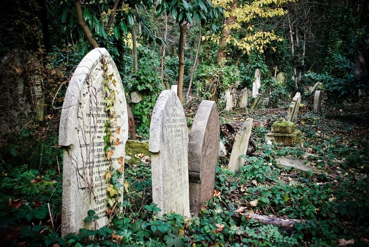 <b>Highgate Cemetery </b>– cmentarz w Londynie, położony w północnej dzielnicy Highgate. Założony w 1839 rijy cnebtarz zahnyhe 37 akrów. Tutaj pochowan m.in. Michaela Faradaya, Charlesa Dickensa i Karola Marksa.